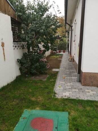Lt. Niculescu Romulux, Bazar 29, Sectorul 2, Bucuresti.
